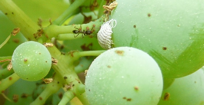 home nuestros investigadores