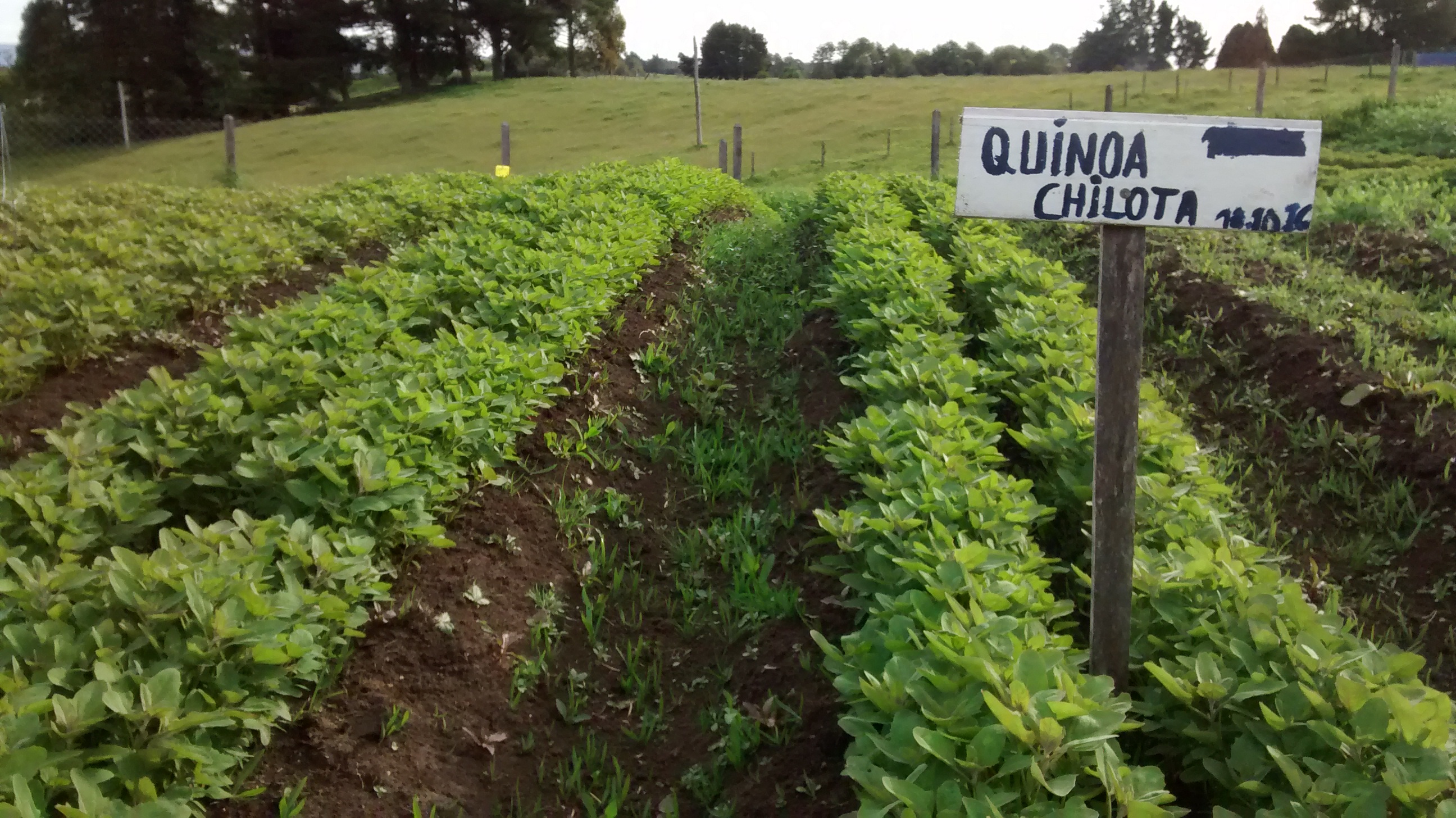 home nuestros proyectos